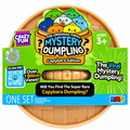 NEW 2026 MYSTERY DUMPLING CAPYBARA EDITION! RMS CRAZY FUN | Unopened / English / New