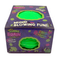 Jumbo Zombie Brain Squishy Stress Relief! | Unopened / English / New