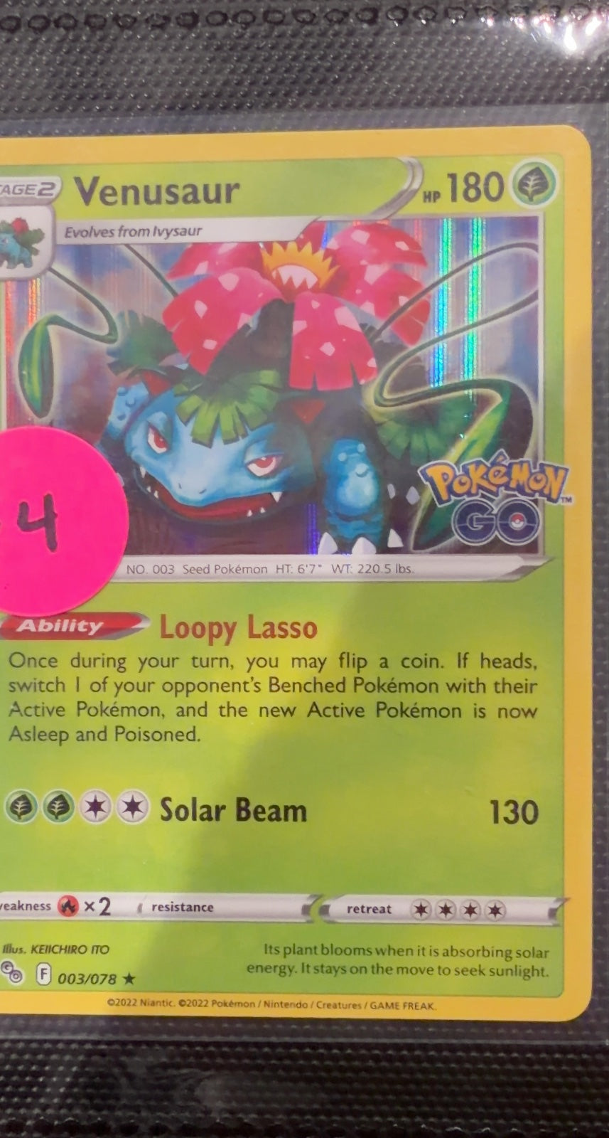 Venusaur | Near Mint / English / Holofoil