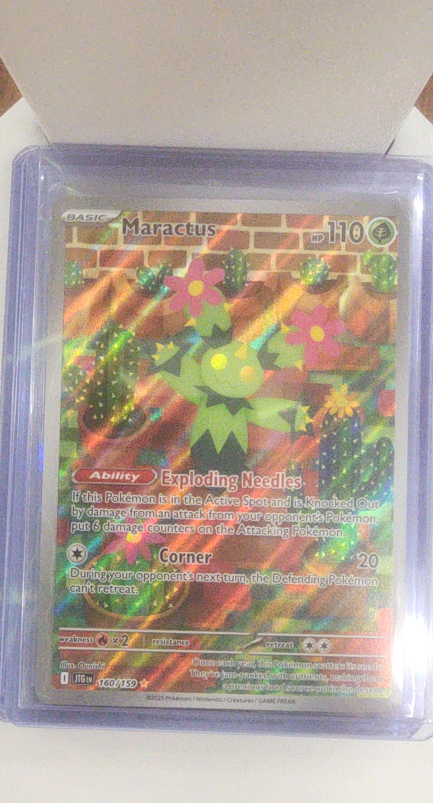 Maractus - 160/159