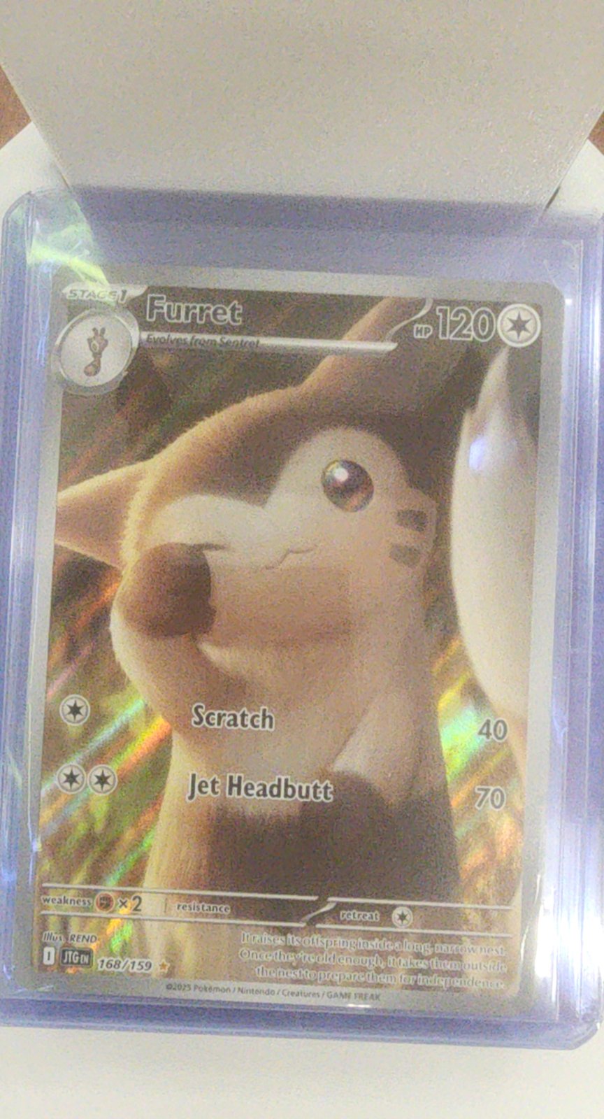Furret - 168/159