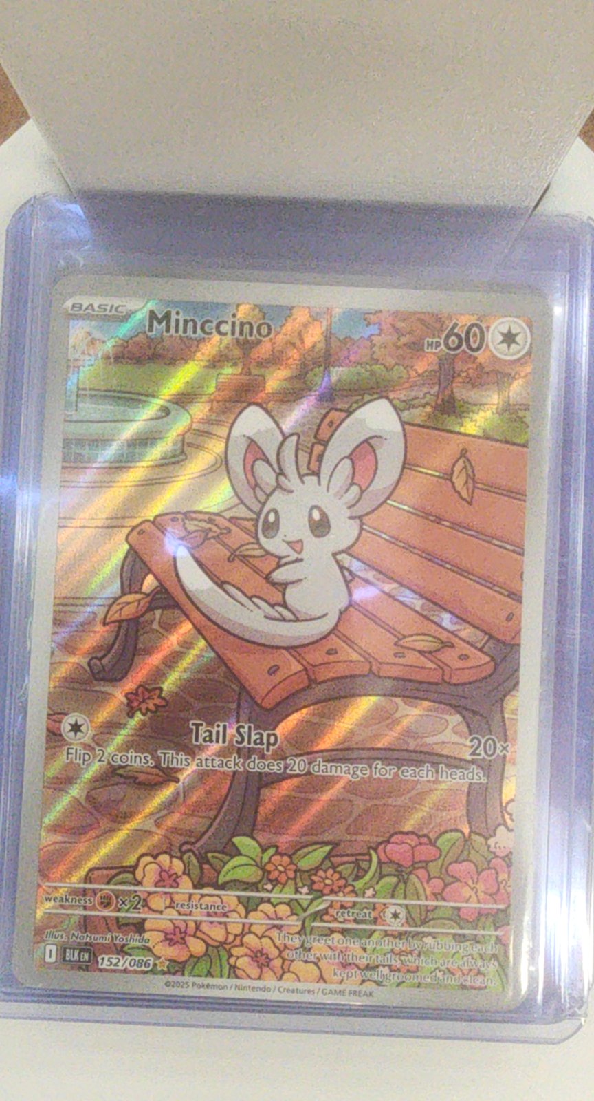Minccino - 152/086