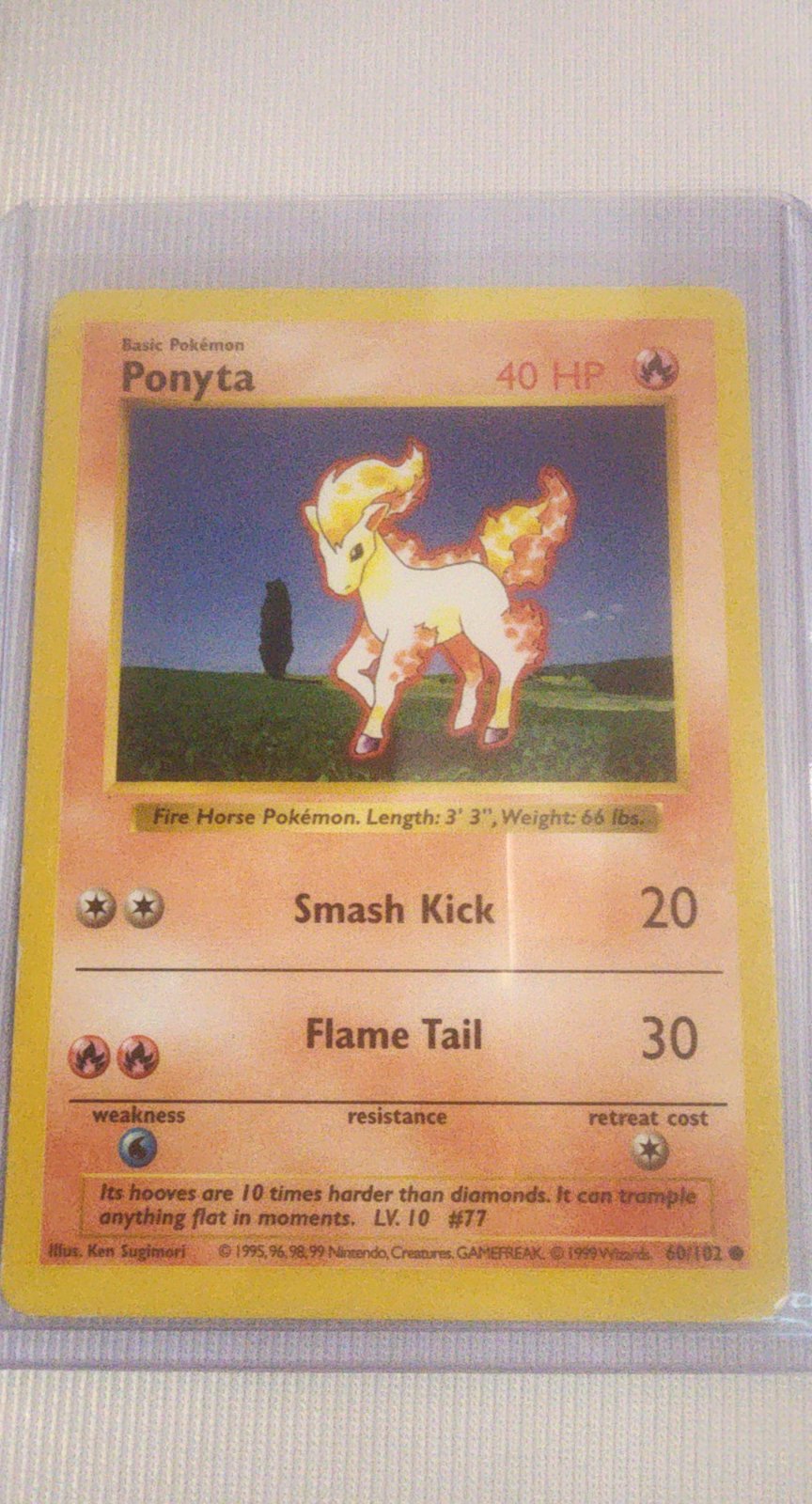 Ponyta